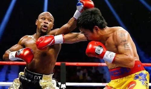 吃瓜娱乐拳击比赛直播视频